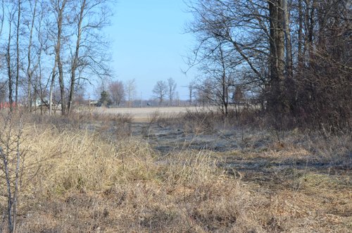 Property photo 12 - East Allen County - 55 Acre Land Auction